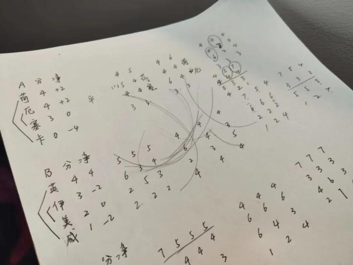 熬夜预测与球场悲欢：记者亲历世界杯赛场内外